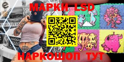 стаф Тара