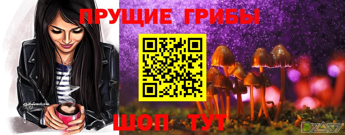 Псилоцибиновые грибы ЛСД Ачинск