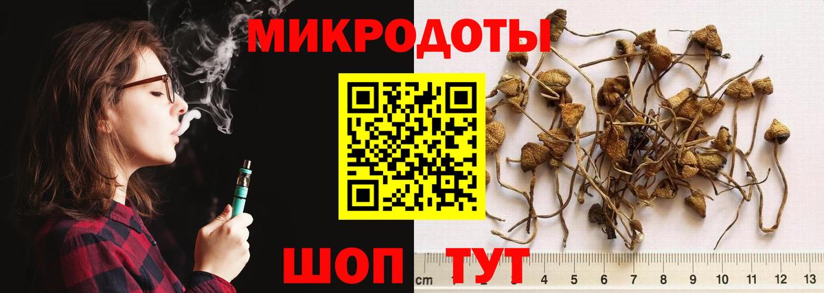 Ачинск  Галлюциногенные грибы Psilocybe  Вход с VPN 